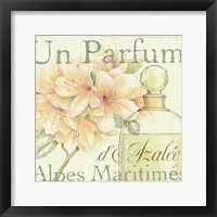 Fleurs and Parfum III Framed Print