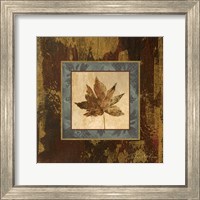 Framed 'Autumn Leaf Square IV' border=