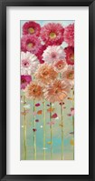 Framed Daisies Spring I