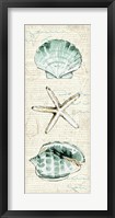 Framed Ocean Prints V