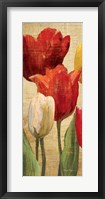 Framed Tulip Fantasy on Cream II