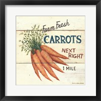 Farm Fresh Carrots Framed Print