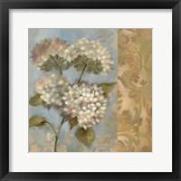 Hydrangea on Soft Blue Framed Print