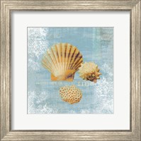 Framed Tidal Treasures