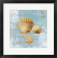 Tidal Treasures Framed Print