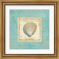 Framed 'Bijou de Mer III' border=