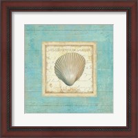 Framed 'Bijou de Mer III' border=