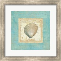 Framed 'Bijou de Mer III' border=