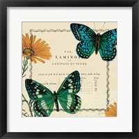 Summer Pages III Framed Print