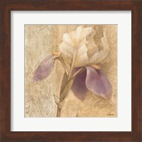 Framed Brocade Iris