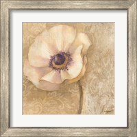 Framed 'Brocade Poppy' border=