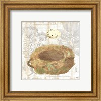 Framed 'Botanical Nest I' border=