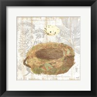 Framed 'Botanical Nest I' border=