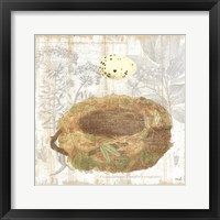 Framed Botanical Nest I