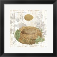 Framed 'Botanical Nest IV' border=