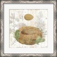 Framed 'Botanical Nest IV' border=