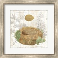 Framed 'Botanical Nest IV' border=