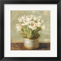 Framed 'Hatbox Tulips' border=