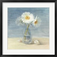 Framed Daisies and Shells