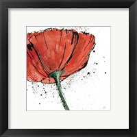 Framed 'Not a California Poppy I on White' border=