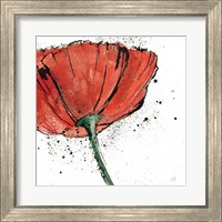 Framed 'Not a California Poppy I on White' border=