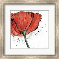 Framed 'Not a California Poppy I on White' border=