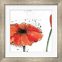 Framed 'Not a California Poppy III on White' border=