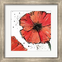 Framed 'Not a California Poppy on White IV' border=