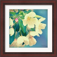 Framed 'Natures Apple Blossom' border=