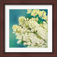 Framed 'Natures Lilac Blossom' border=