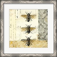 Framed 'Golden Bees n Butterflies No. 1' border=