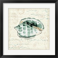 Framed 'Ocean Prints I' border=