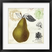 Pear Notes Framed Print
