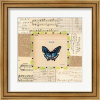 Framed 'Truth Butterfly' border=