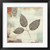 Framed 'Silver Leaves II' border=