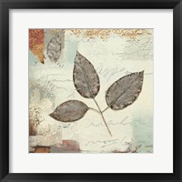 Framed Silver Leaves II