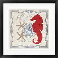 Framed Pacific Seahorse