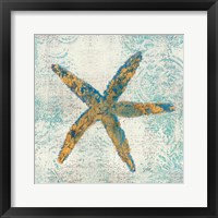 Coastal Beauty  I Framed Print