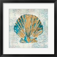 Coastal Beauty IV Framed Print