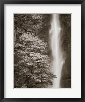 Framed Multnomah Falls