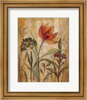 Framed 'Aquarelle Garden I' border=