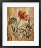 Framed 'Aquarelle Garden I' border=