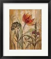 Framed 'Aquarelle Garden I' border=