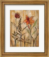 Framed 'Aquarelle Garden II' border=