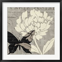 Natural Prints I Framed Print