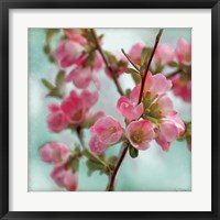 Framed Quince Blossoms II