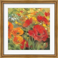 Framed 'Oriental Poppy Field I' border=