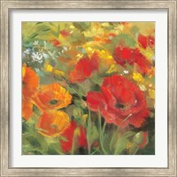 Framed 'Oriental Poppy Field I' border=