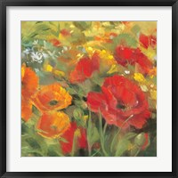 Framed Oriental Poppy Field I