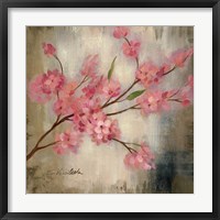 Cherry Blossom I Framed Print